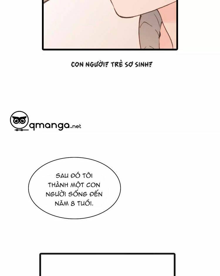 Chương 17 - Trang 41