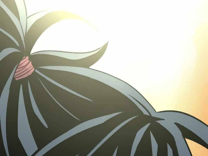 Chapter 15.5 - Trang 254
