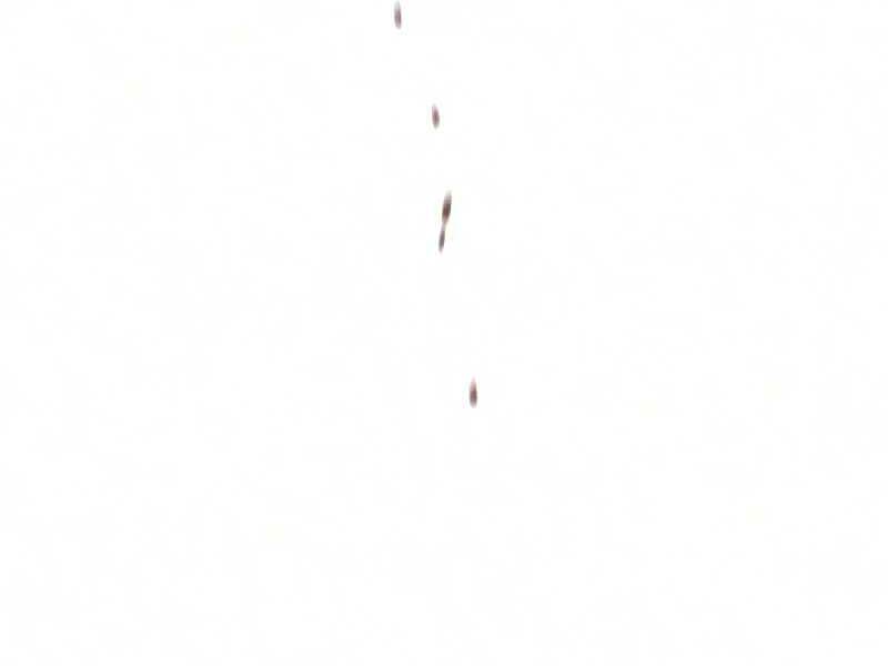 Chương 16.5 - Trang 9