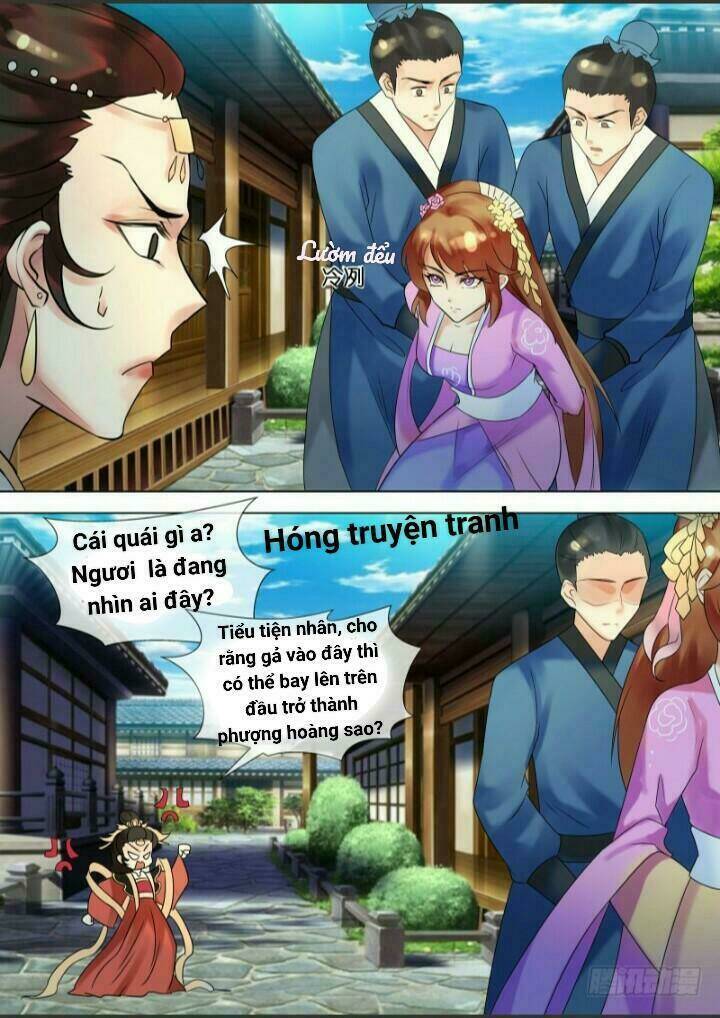 Chương 31 - Trang 11