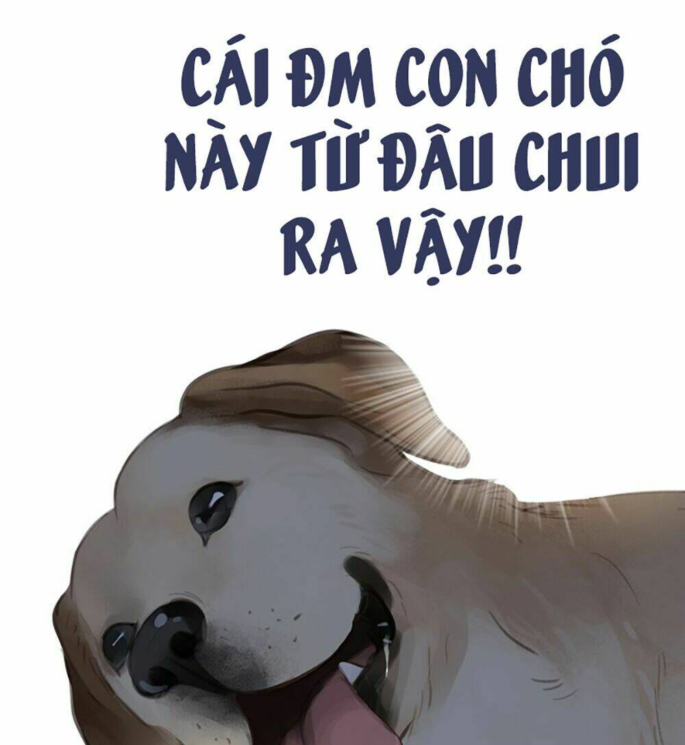 Chương 5 - Trang 8