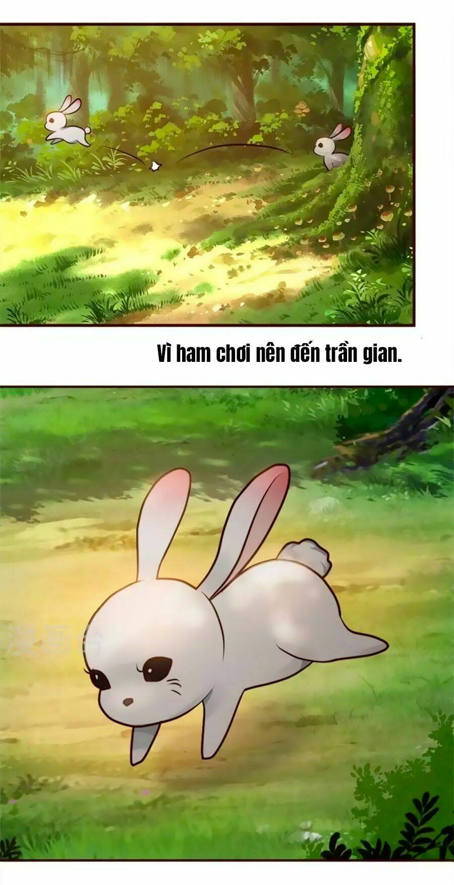 Chương 1 - Trang 4