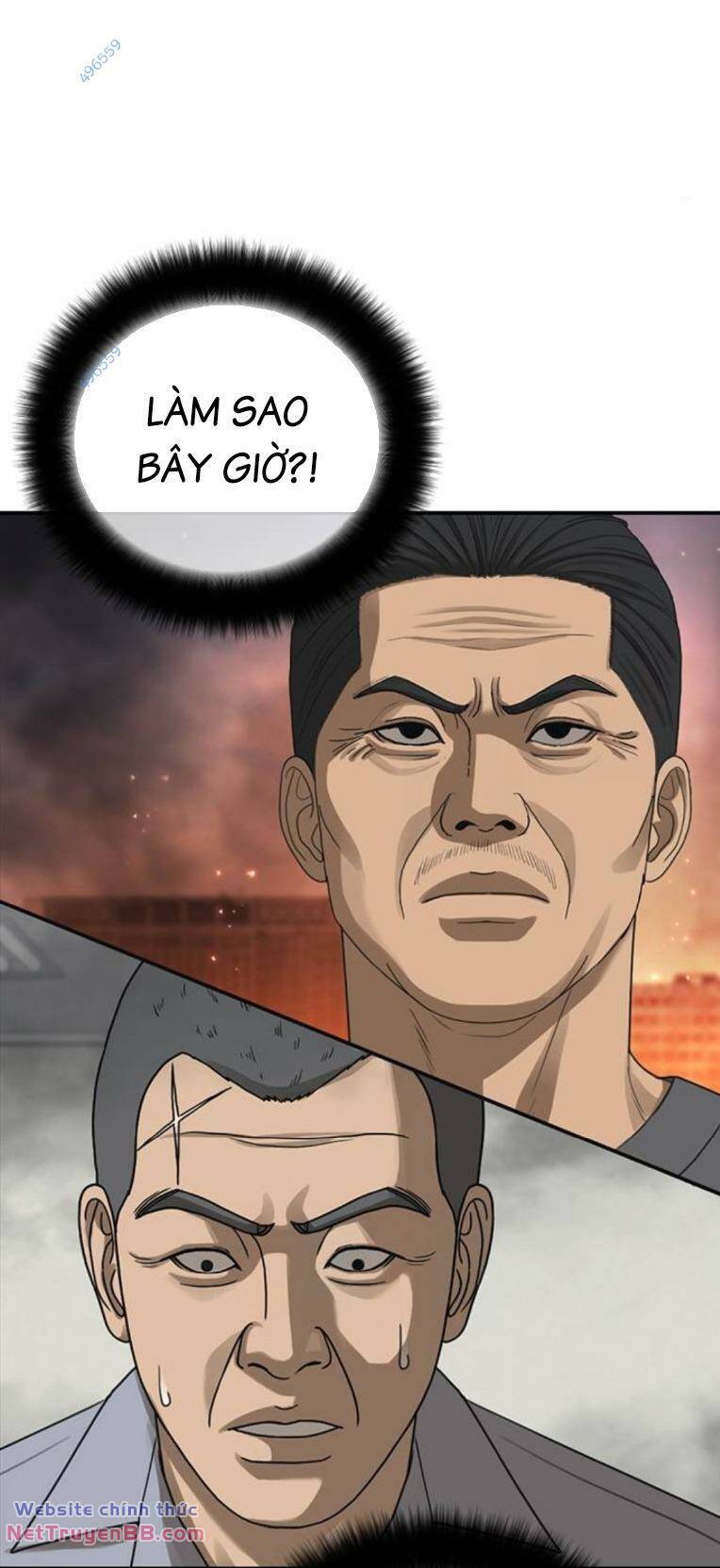 Trang 29