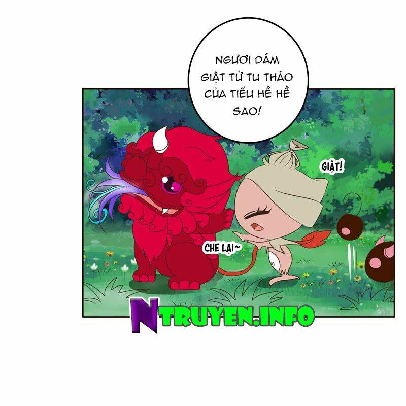 Trang 11