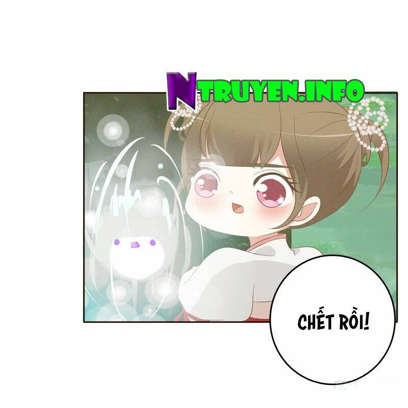 Trang 23