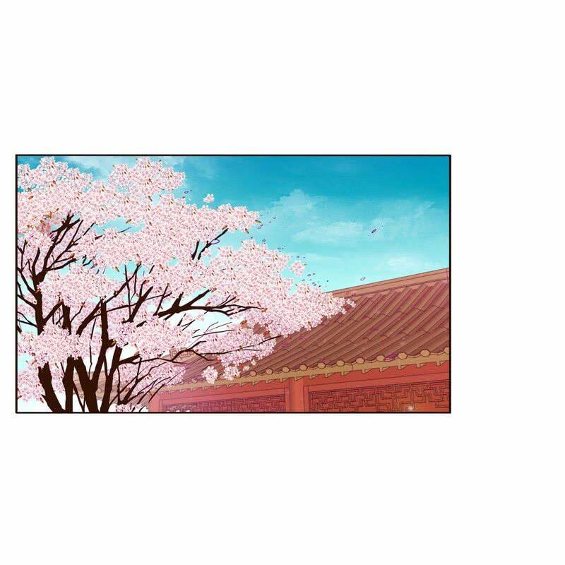 Chương 243 - Trang 5