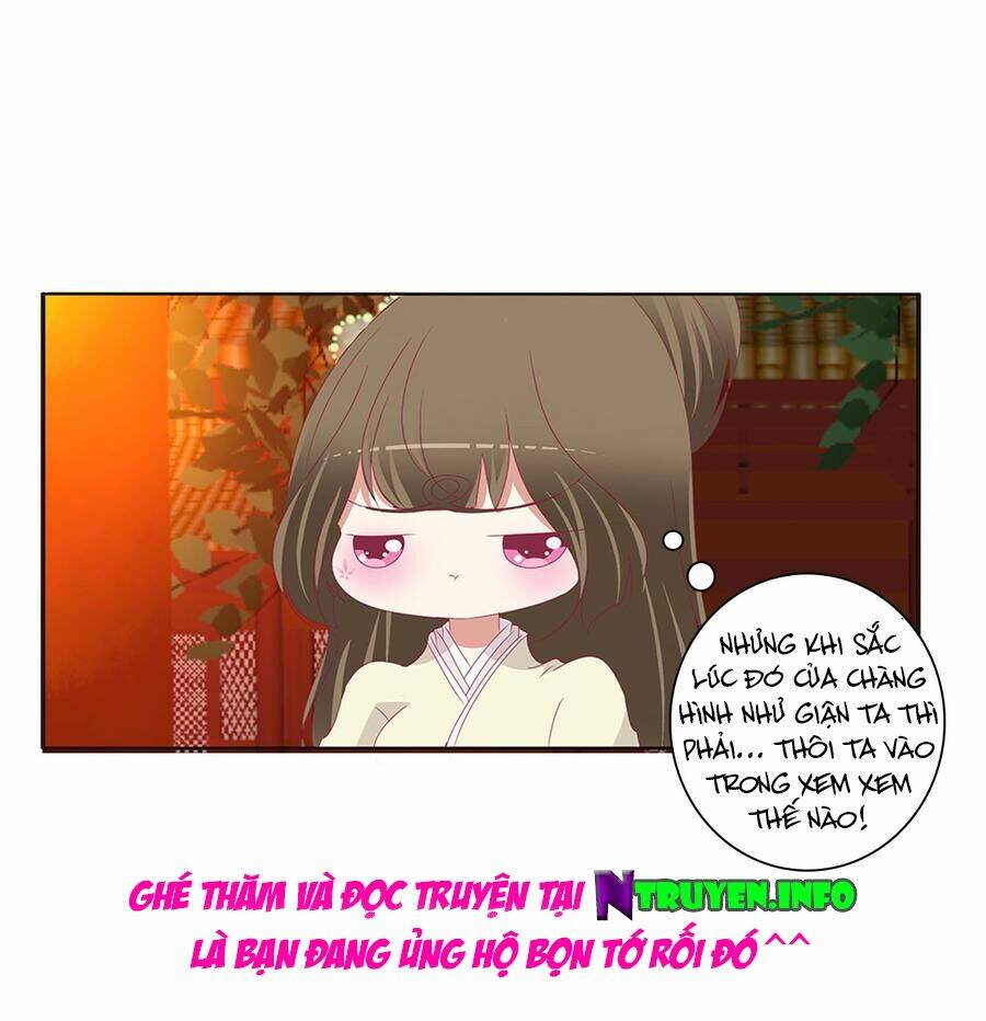 Chương 508 - Trang 16