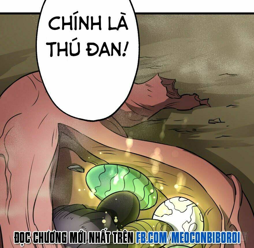 Chương 15 - Trang 40