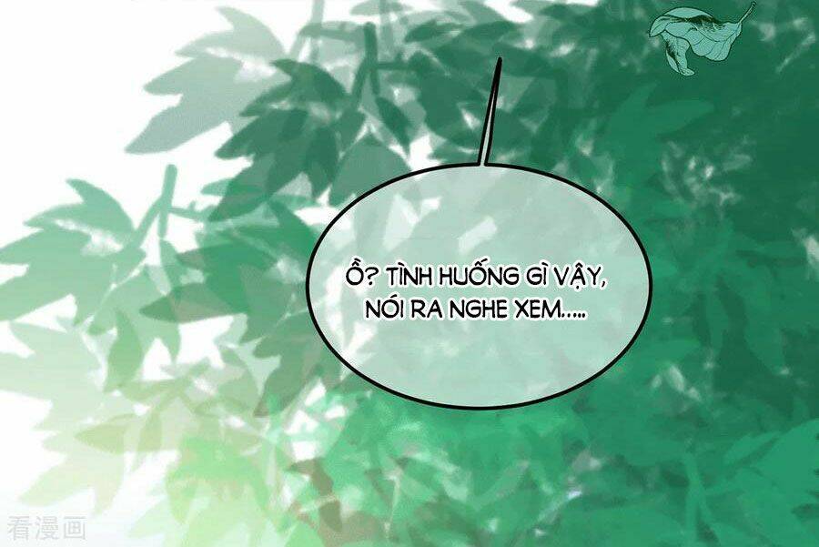 Chương 222 - Trang 22