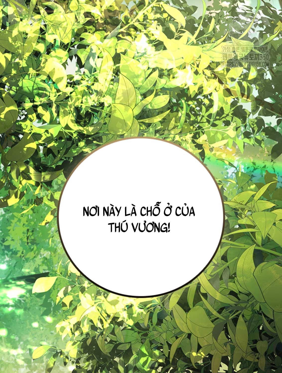 Chương 70 - Trang 51