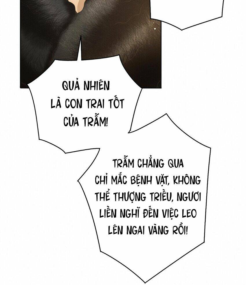 Chương 28 - Trang 22
