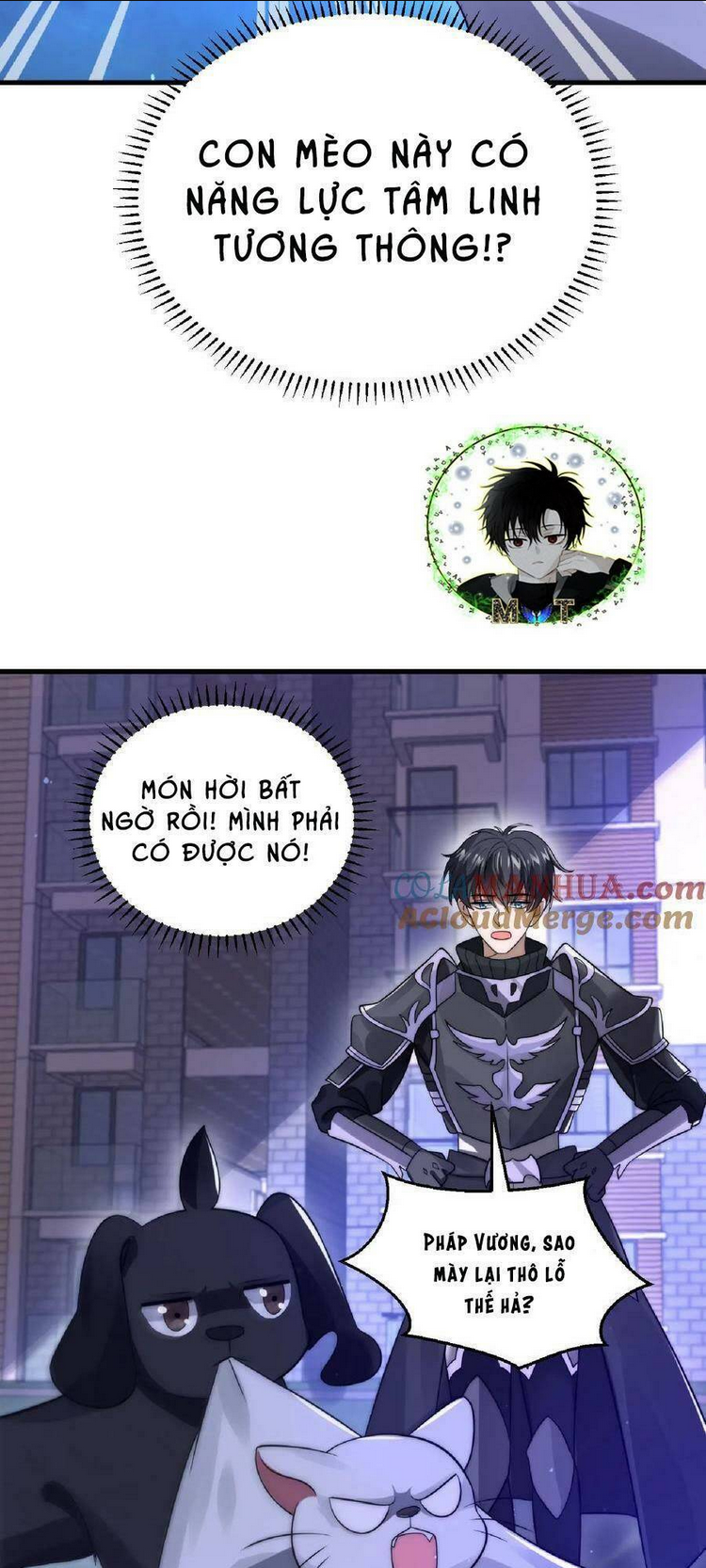 Trang 15