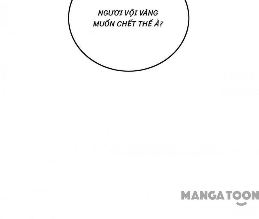 Chương 372 - Trang 4