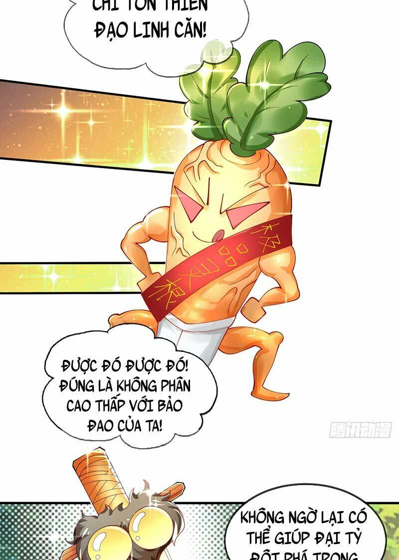 Chương 2 - Trang 7