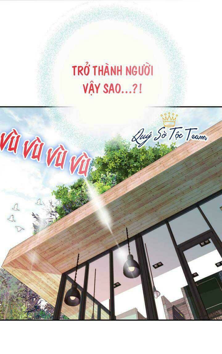 Chương 43 - Trang 65