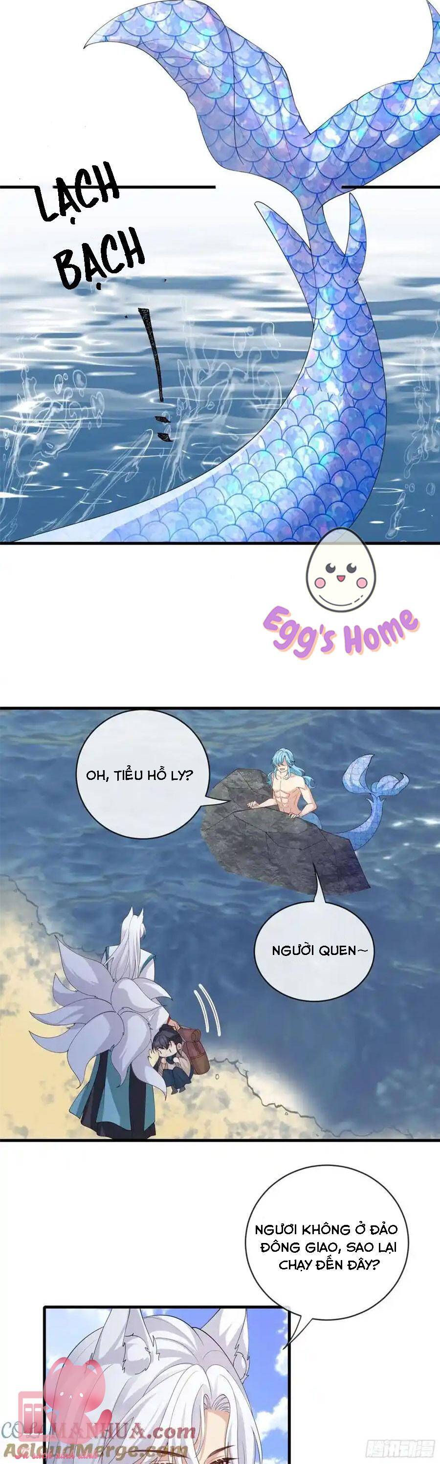 Trang 17
