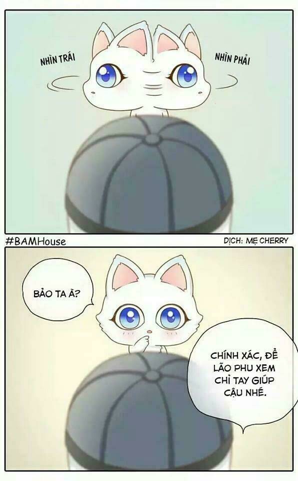 Chương 13 - Trang 5