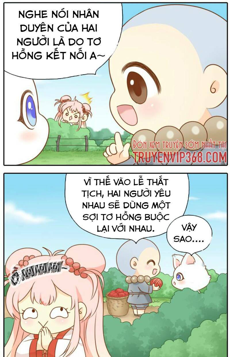 Trang 3