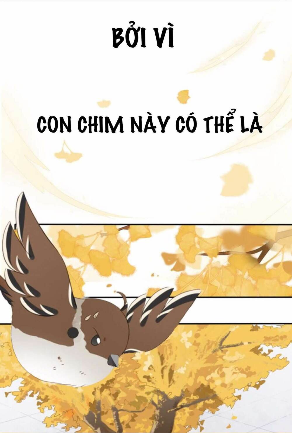 Chương 0 - Trang 4