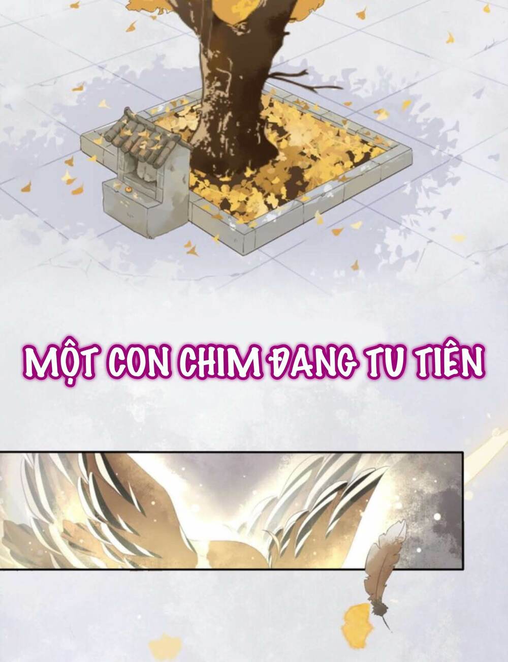 Chương 0 - Trang 5