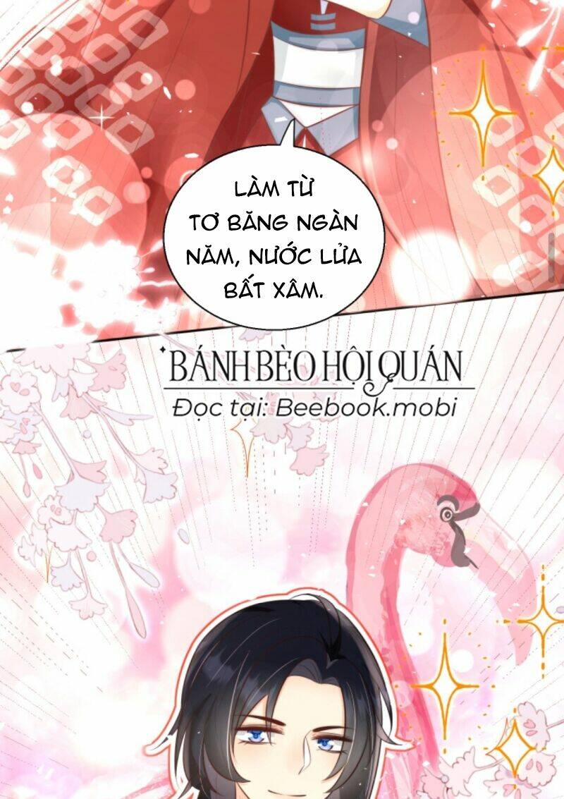 Trang 17