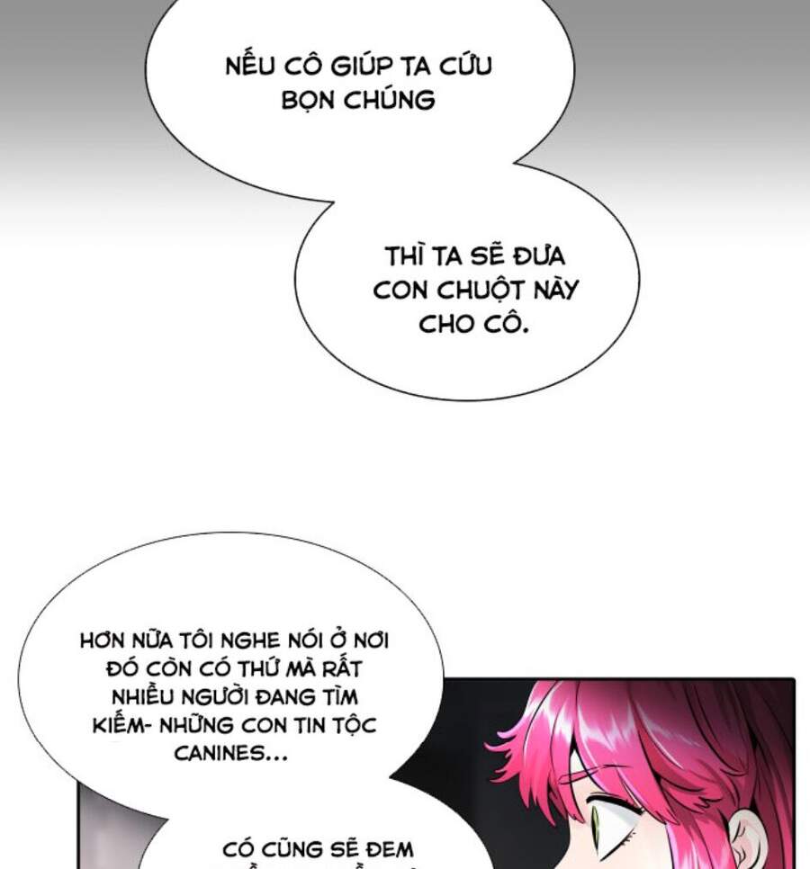 Chương 491 - Trang 42