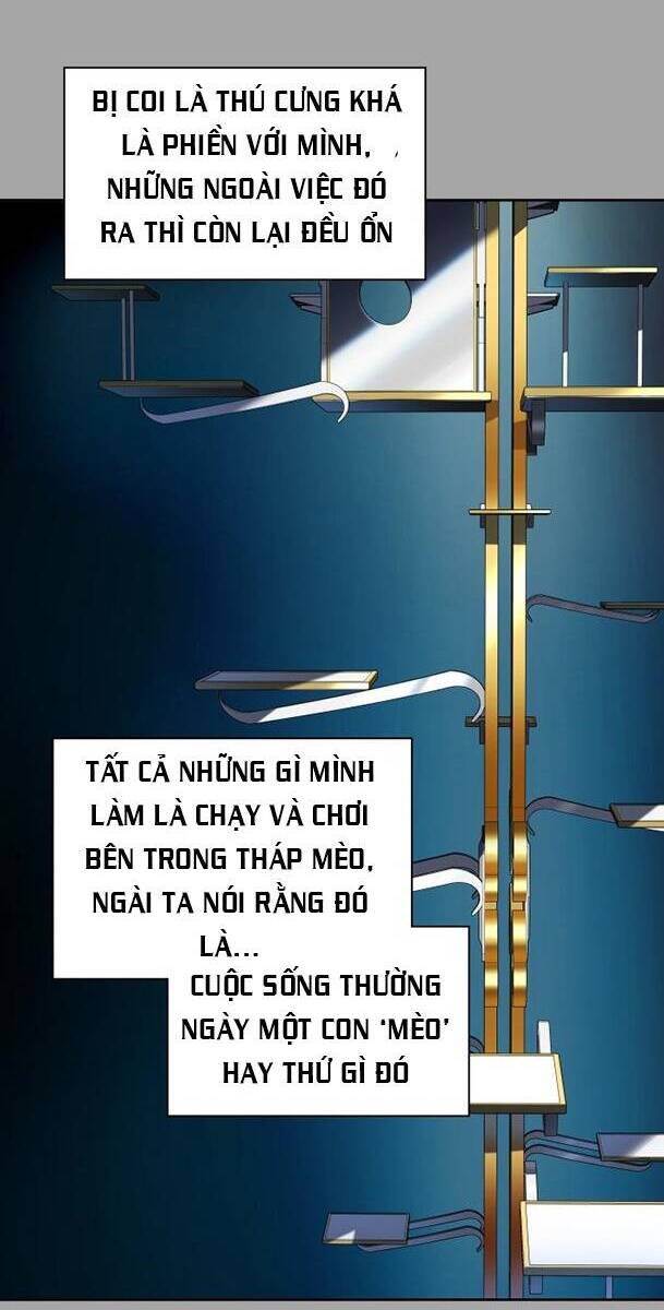 Chương 526 - Trang 74
