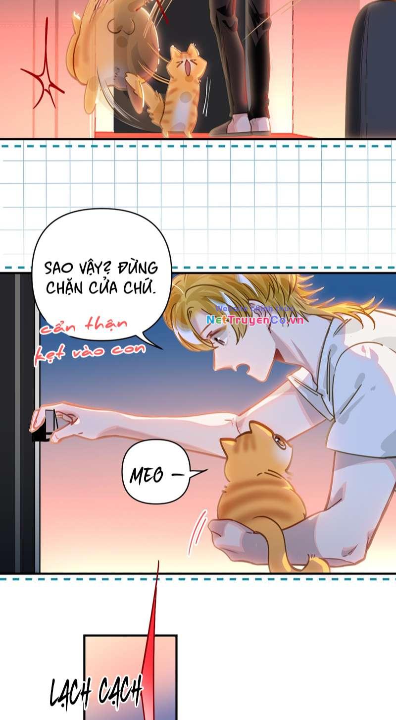 Chương 39 - Trang 14