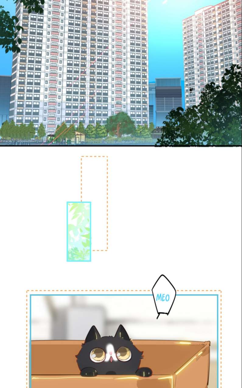 Chương 8 - Trang 13
