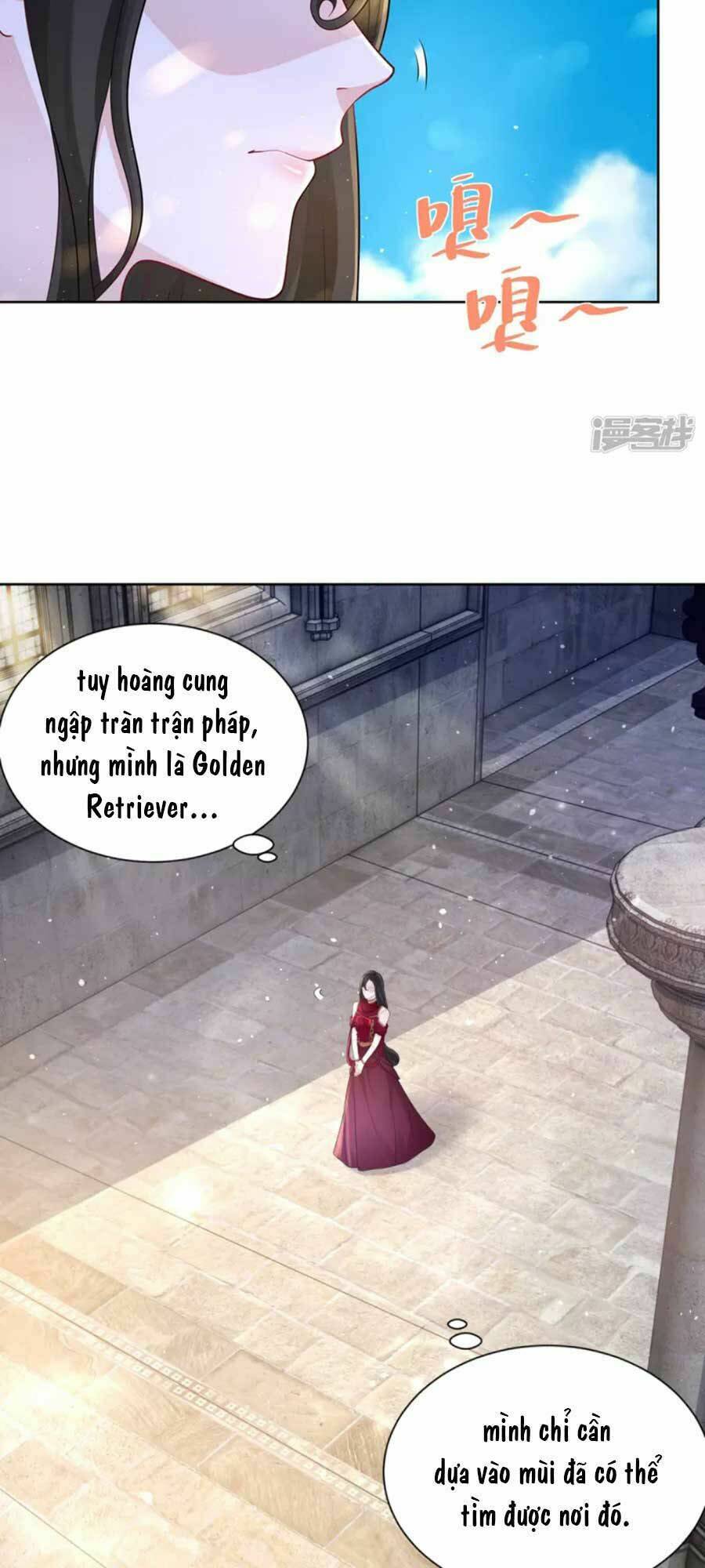 Trang 14