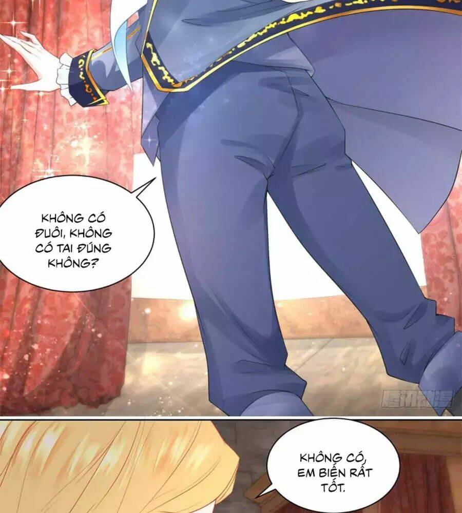 Trang 24
