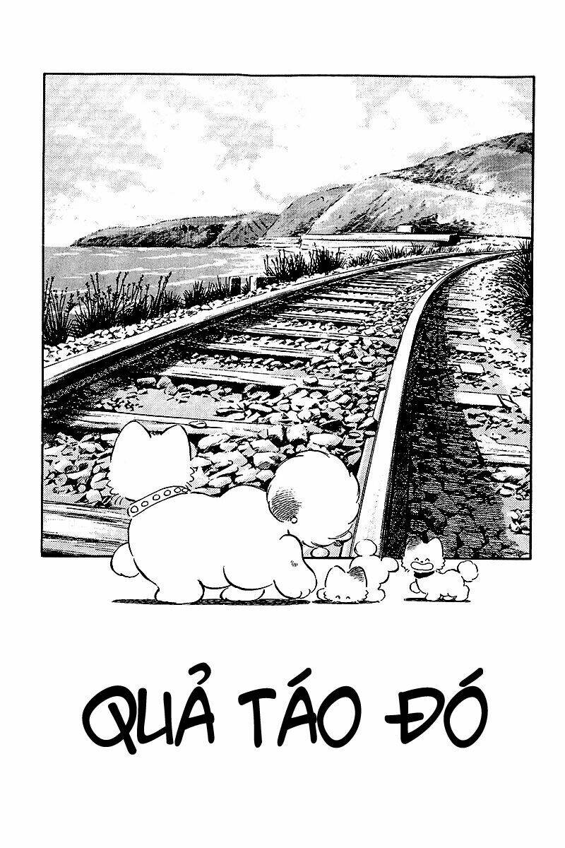 Chương 242 - Trang 2