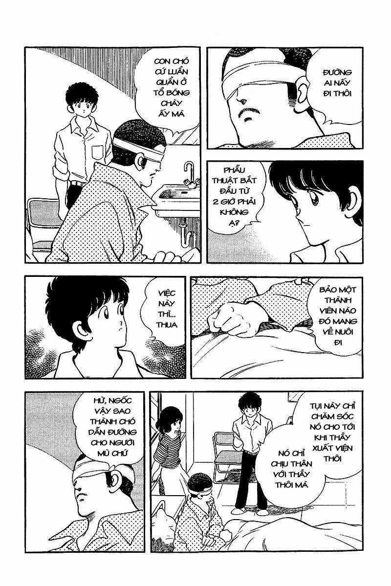 Chương 242 - Trang 9