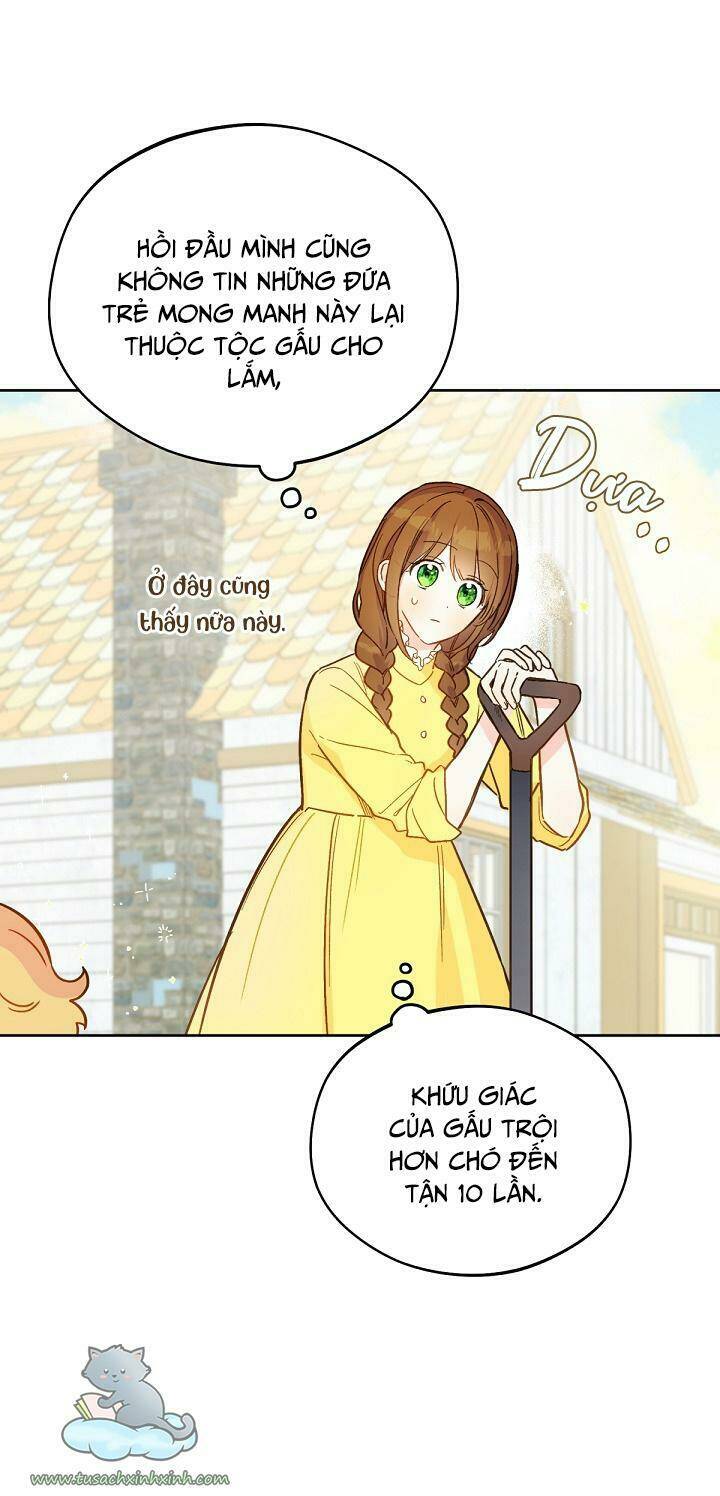 Trang 53