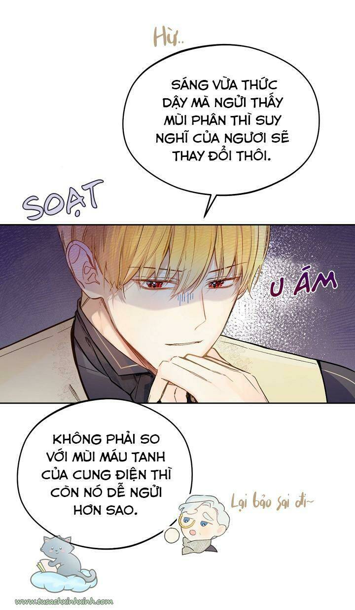 Trang 52