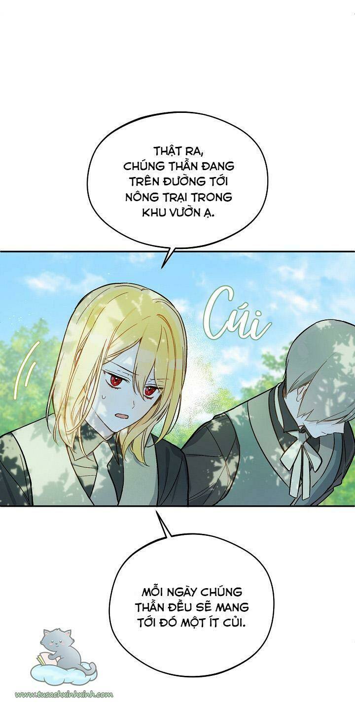 Trang 45