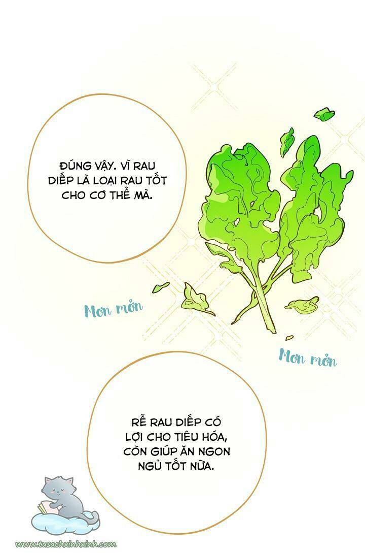 Trang 51