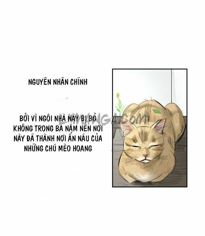 Chương 5 - Trang 53