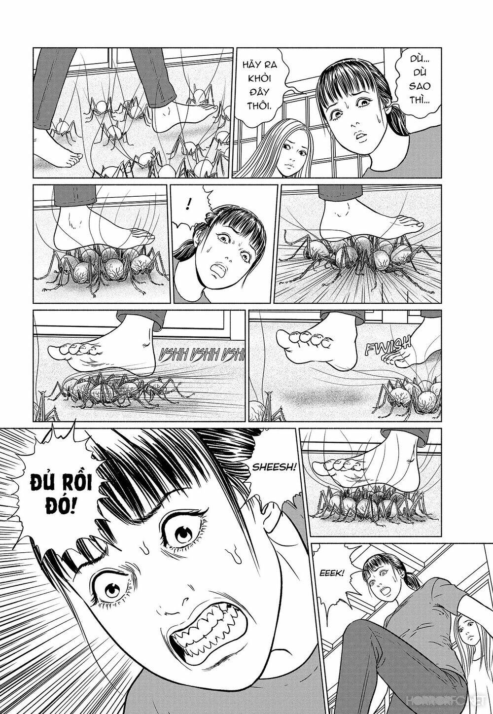 Trang 25