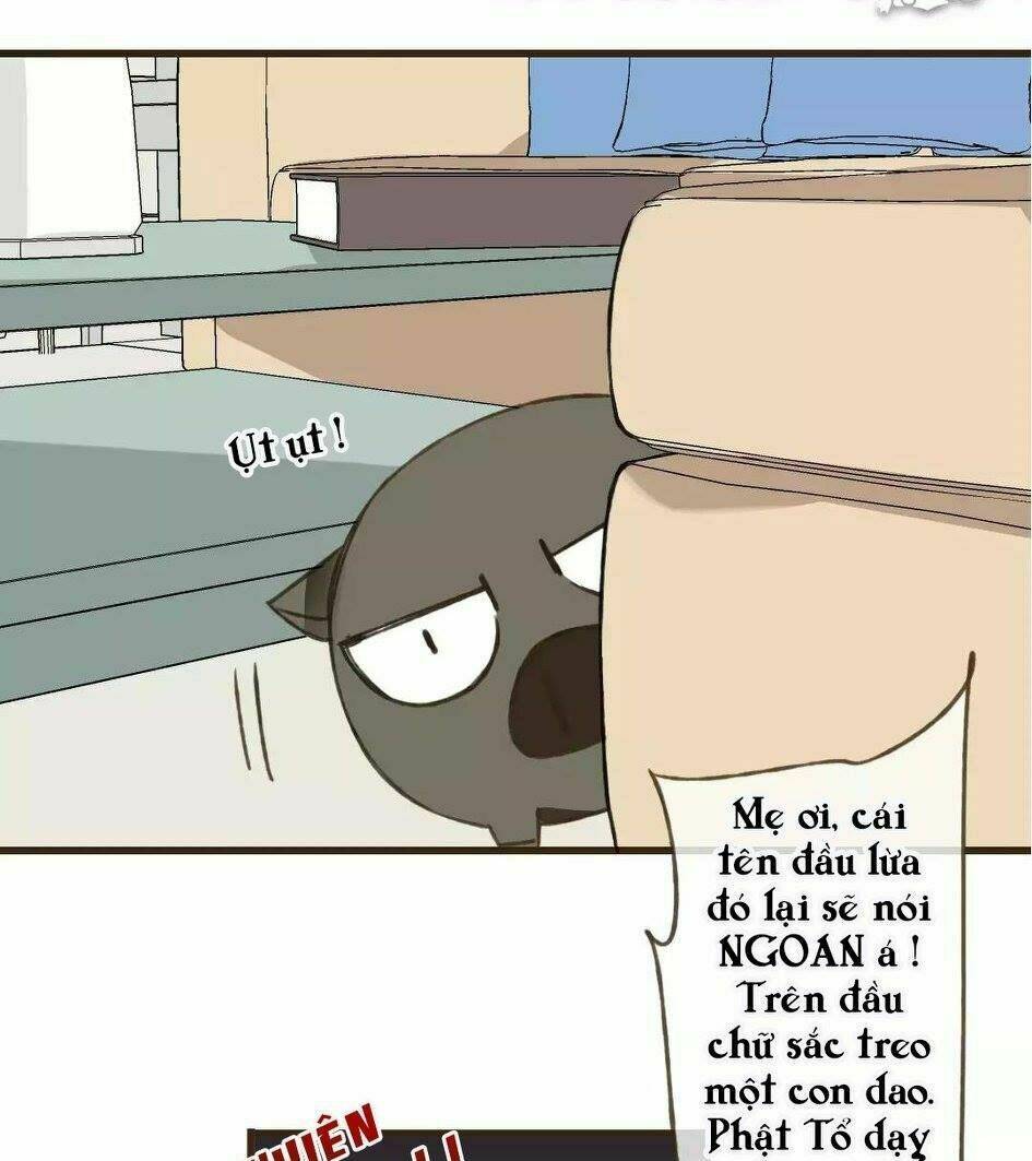 Trang 21