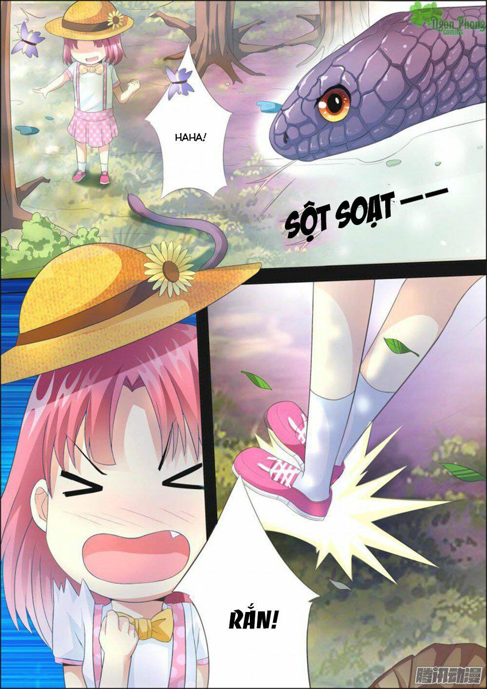 Trang 8