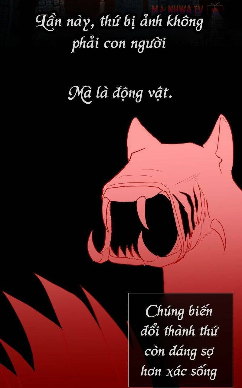Chương 13 - Trang 13