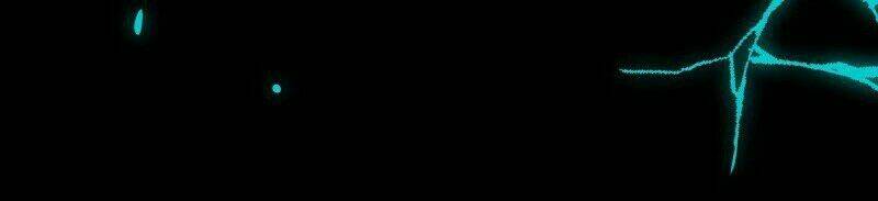 Chương 64 - Trang 61