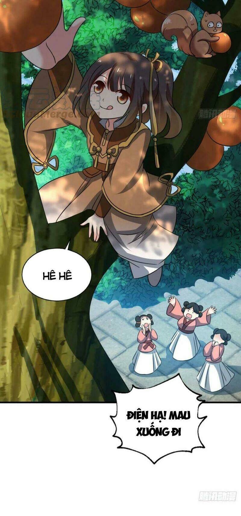 Trang 17
