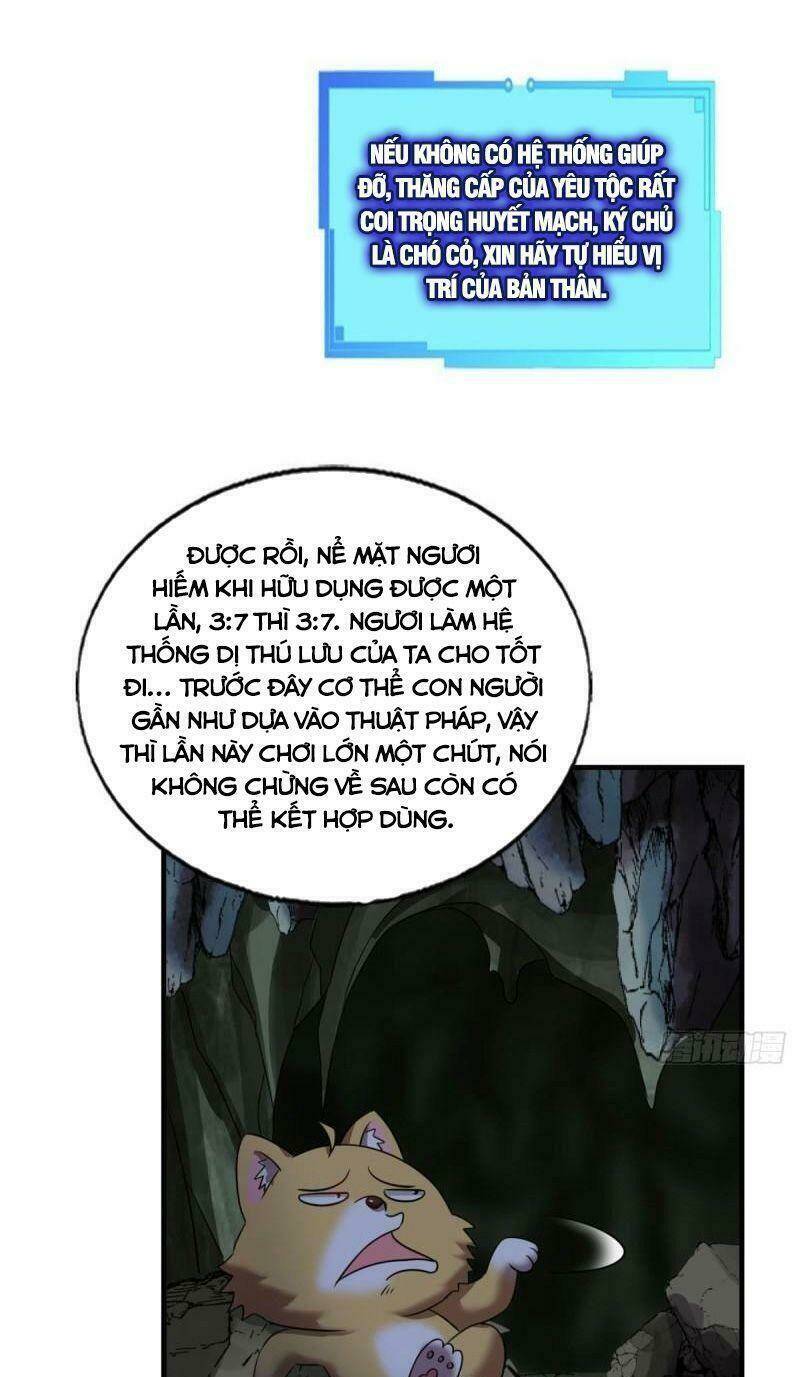 Trang 12