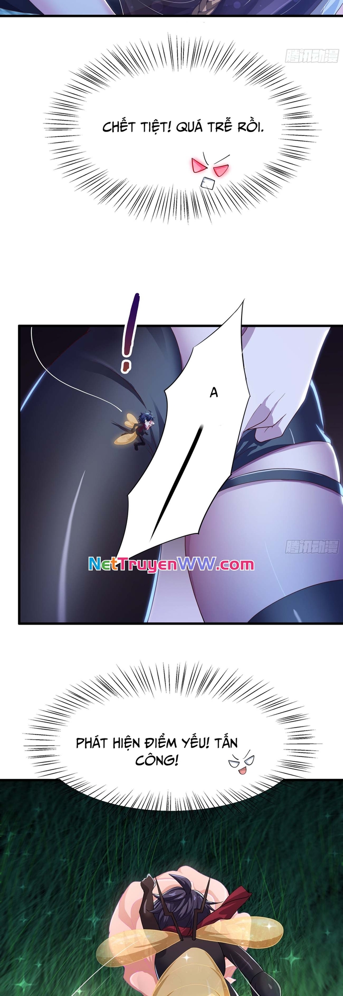 Trang 8
