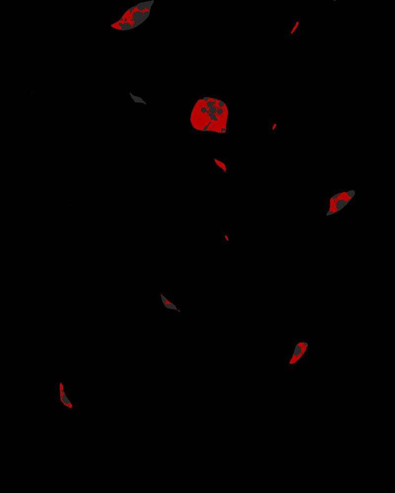 Chương 1 - Trang 15