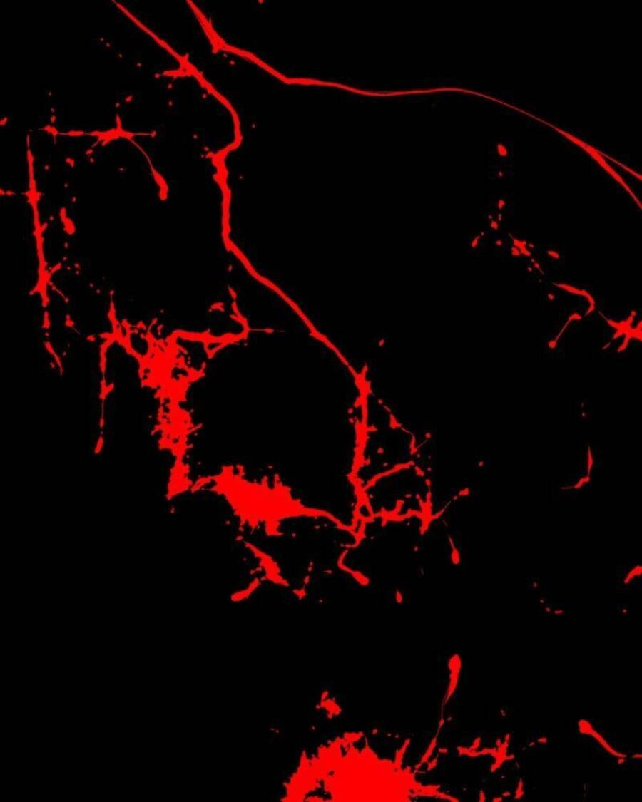 Chương 35 - Trang 47