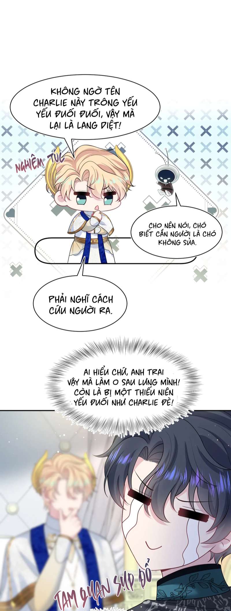 Chương 239 - Trang 21