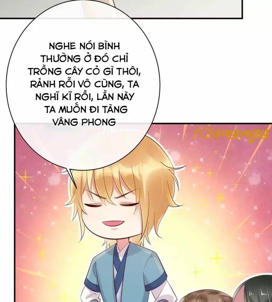 Trang 24